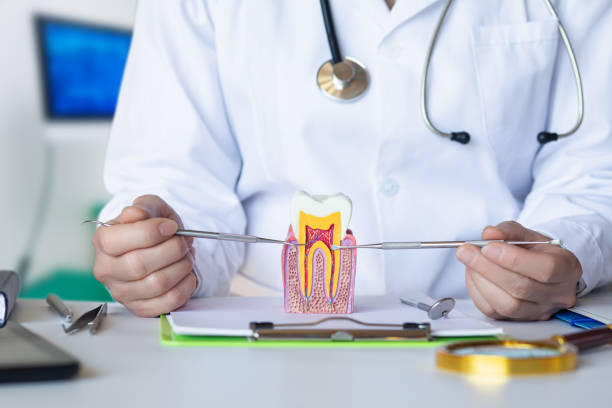 Best Emergency Dental Care for Abscessed Tooth in Cherryville, NC